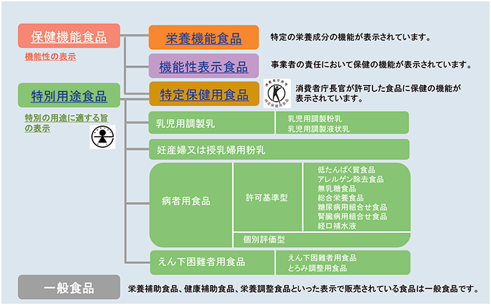 画像:保健機能食品とは