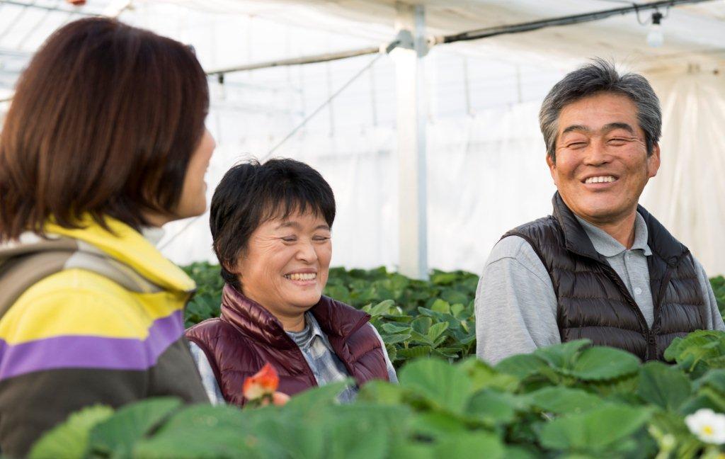 (写真)宮城県亘理郡(亘理町・山元町)のいちご団地3