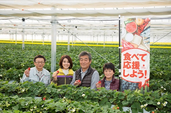 宮城県亘理町いちご団地