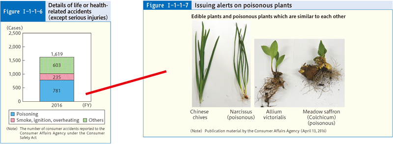 Figure Ⅰ-1-1-6 Details of Life or health-related accidents (except serious injuries),Figure Ⅰ-1-1-7 Issuing alerts on poisonous plants