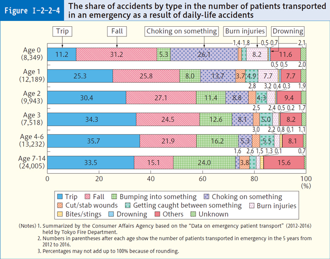 Figure Ⅰ-2-2-4 The share of accidents by type in the number of patients transported in an emergency as a result of daily-life accidents
