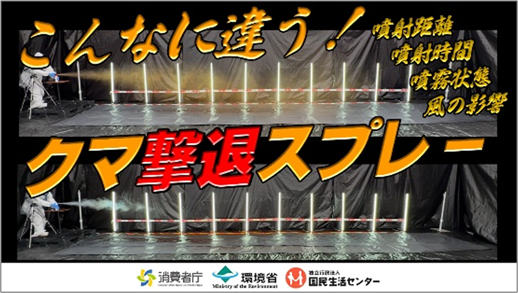 動画サムネイルが入ります
