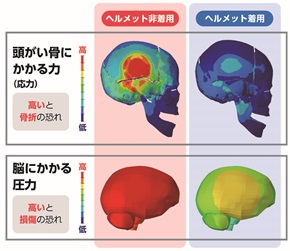 画像:転倒して頭をコンクリート(縁石)にぶつけた時のシュミレーションのイラスト